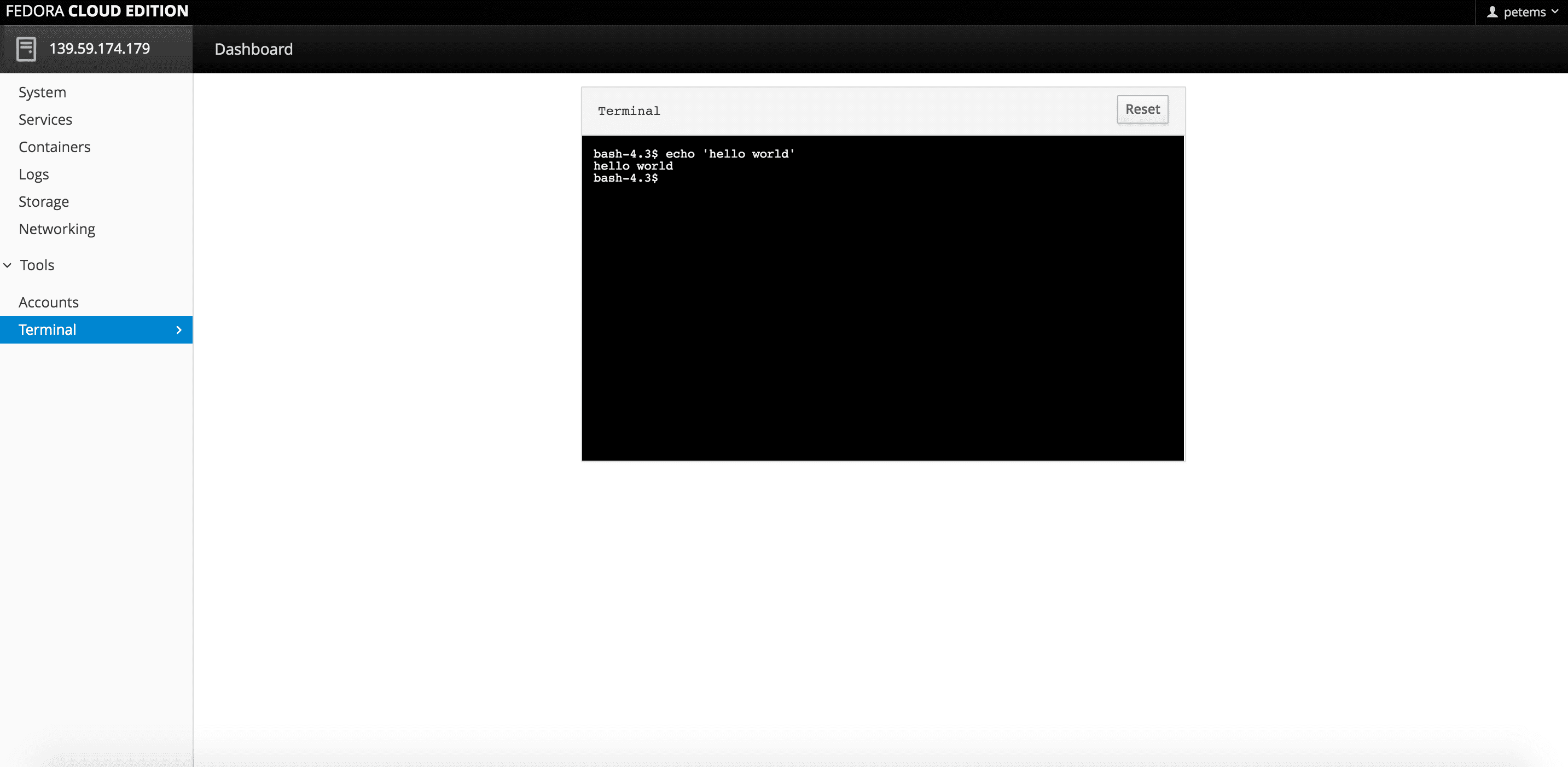 Cockpit web terminal running a simple shell command
