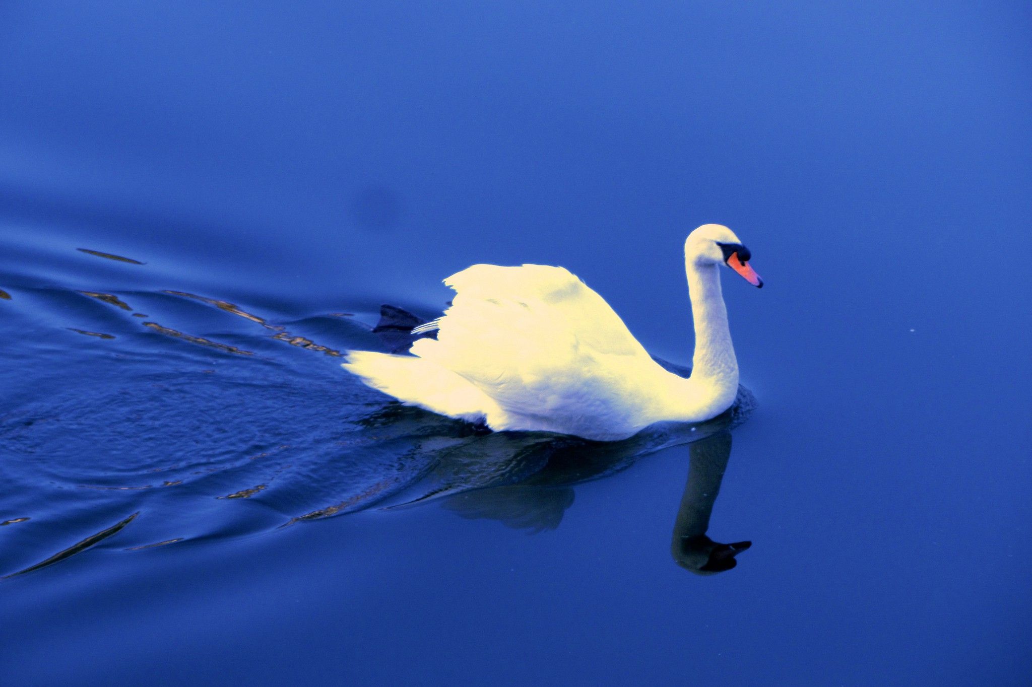 The Puppet Resource Abstraction Layer (RAL) Explained: Part 2